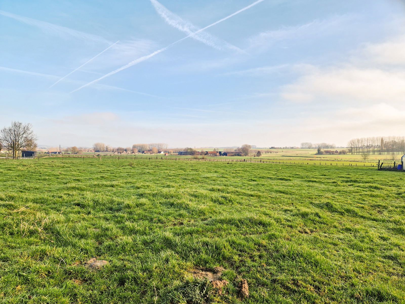 Ontdek deze prachtige bouwgrond van 11a 50ca, een zeldzame kans om uw vastgoedproject snel en met een gerust hart te realiseren.<br />
Ideaal gelegen in de felbegeerde gemeente Ellezelles, geniet het perceel van een vrij uitzicht en een groene omgeving — perfect voor wie levenskwaliteit wil combineren met een vlotte bereikbaarheid.<br />
<br />
Dankzij de 25 meter straatbreedte biedt deze grond mooie mogelijkheden voor de inplanting, zodat u een woning kunt ontwerpen die volledig aansluit bij uw wensen.<br />
<br />
Belangrijkste troeven voor een aankoop in alle vertrouwen :<br />
- Toegangsvout reeds aangelegd, een onmiddellijke besparing in tijd en budget.<br />
- Vrij van bezetting, onmiddellijk beschikbaar.<br />
- Bodemonderzoek uitgevoerd, voor volledige gemoedsrust vóór elke verbintenis.<br />
<br />
Een plek waar men zich meteen ziet wonen — een kans die u niet mag laten voorbijgaan. *Prijs onder voorbehoud van aanvaarding door de verkoper.