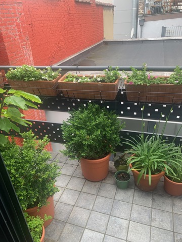 Appartement - à vendre - 1000 Bruxelles