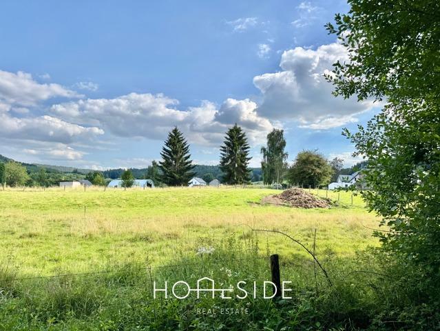 Terrain à bâtir - à vendre - 6698 Vielsalm