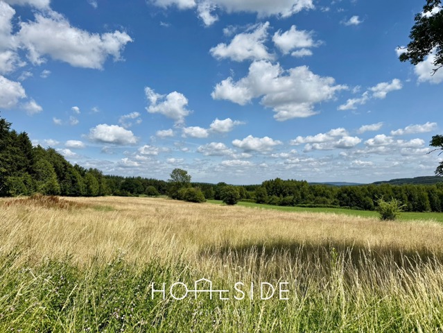 Terrain à bâtir - à vendre - 6960 Manhay