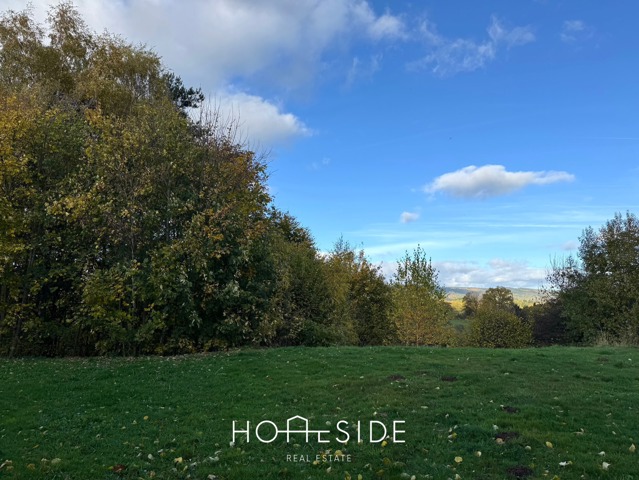 Maison - à vendre - 6690 Vielsalm