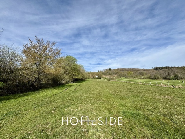 Champ - à vendre -  