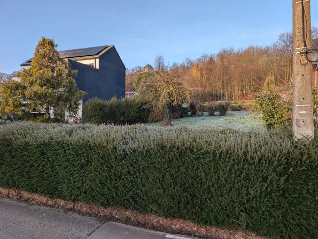 Terrain à bâtir - à vendre - 5650 Walcourt