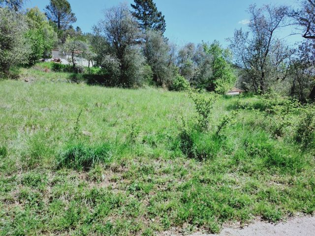 Terrain - À vendre - 06910 CUEBRIS