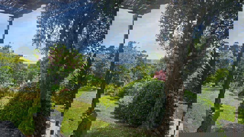 Appartement - À vendre - 06200 Nice