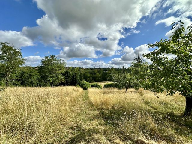 Terrain - À vendre - 31320 VIGOULET AUZIL