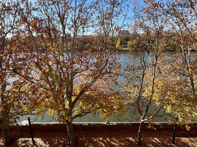 Appartement - À vendre - 31000 Toulouse