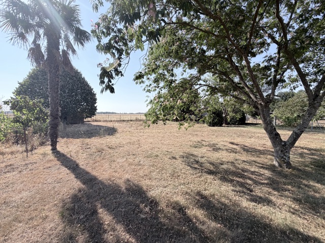 Terrain à bâtir - À vendre - 31470 SAINT LYS