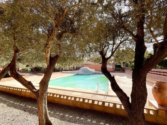 Appartement - À vendre - 66750 SAINT CYPRIEN