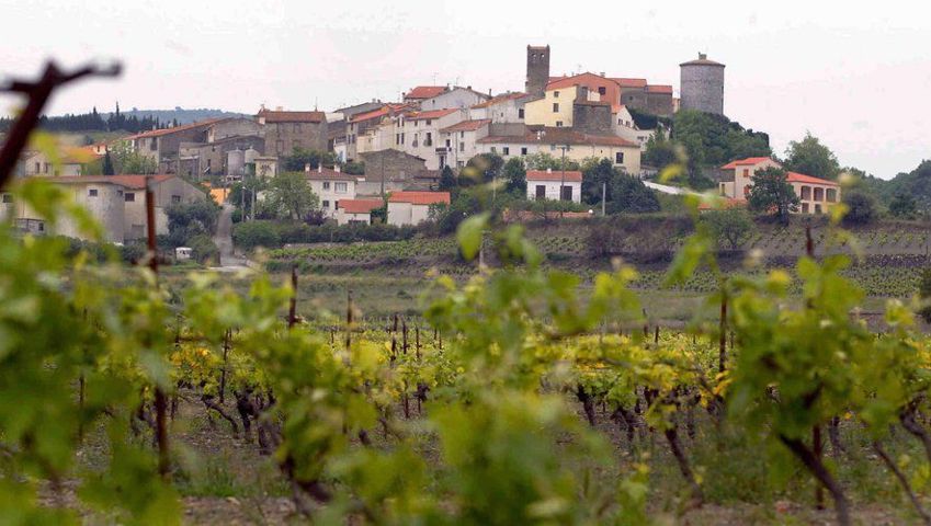 Terrain - À vendre - 66720 MONTNER