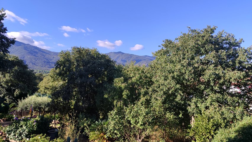 Maison - À vendre - 66690 SOREDE - 66690