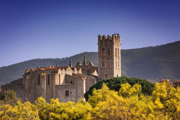 Terrain - À vendre - 66130 ILLE SUR TET