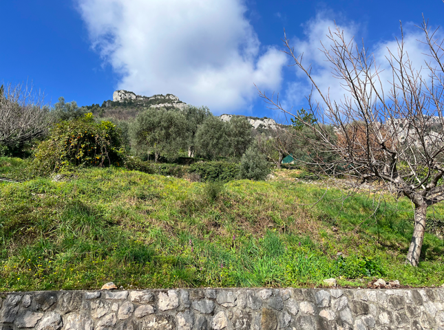 Terrain - À vendre - 06620 GOURDON