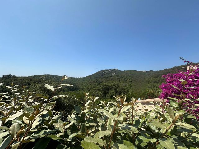 Maison - À vendre - 20137 Porto-Vecchio