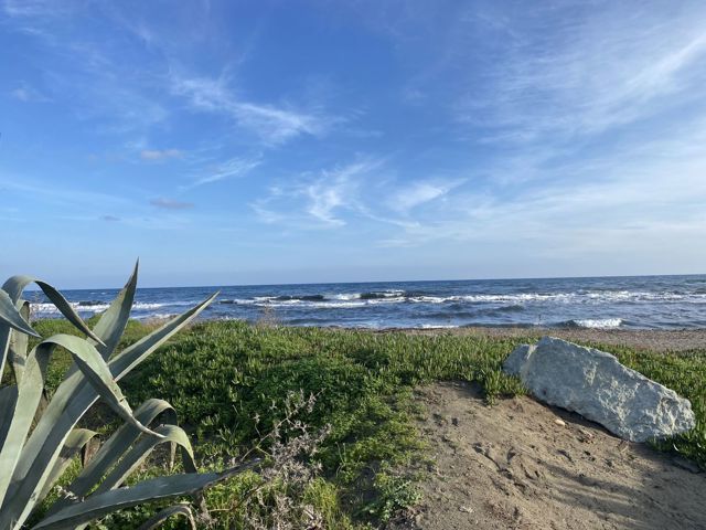 Maison - À vendre - 20290 BORGO