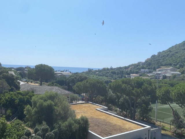 Appartement - À vendre - 20200 Miomo