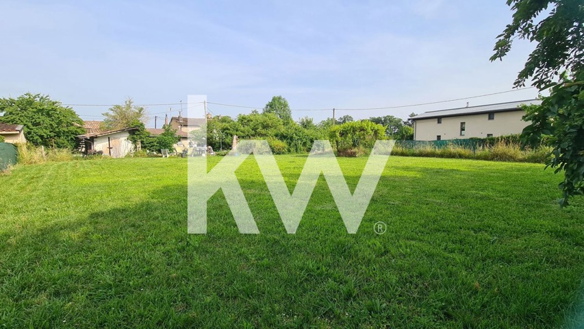 Terrain - À vendre - 81500 AMBRES