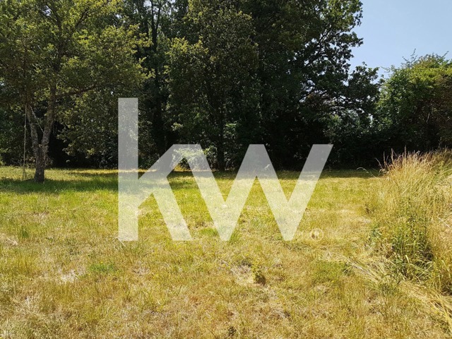 Terrain - À vendre - 81300 GRAULHET