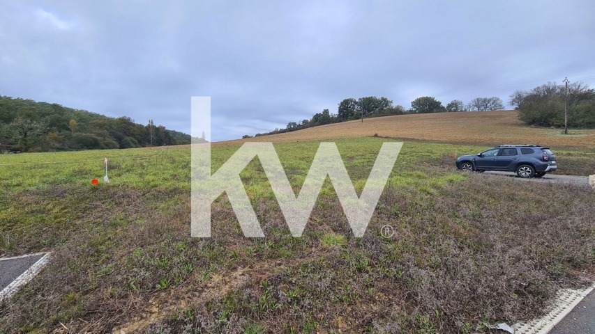 Terrain - À vendre - 81470 ALGANS