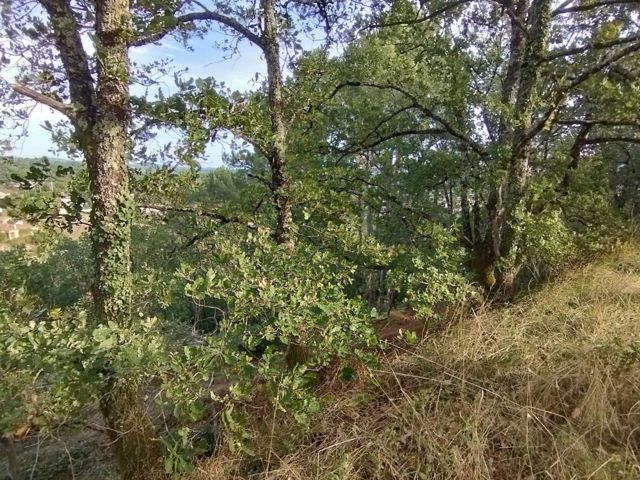 Terrain - À vendre - 81100 CASTRES