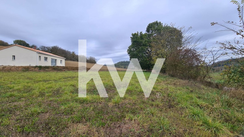 Terrain - À vendre - 81470 ALGANS