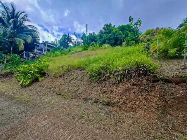 Terrain à bâtir - À vendre -  