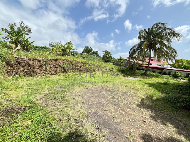 Terrain à bâtir - À vendre - 97113 Gourbeyre