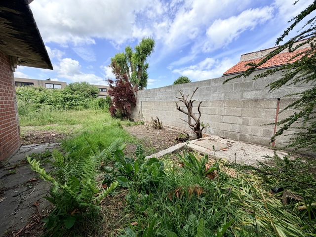 Maison - à vendre - 8660 Adinkerke