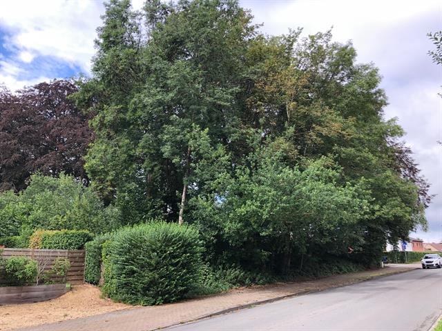 Terrain à bâtir - à vendre - 1340 Ottignies-Louvain-la-Neuve