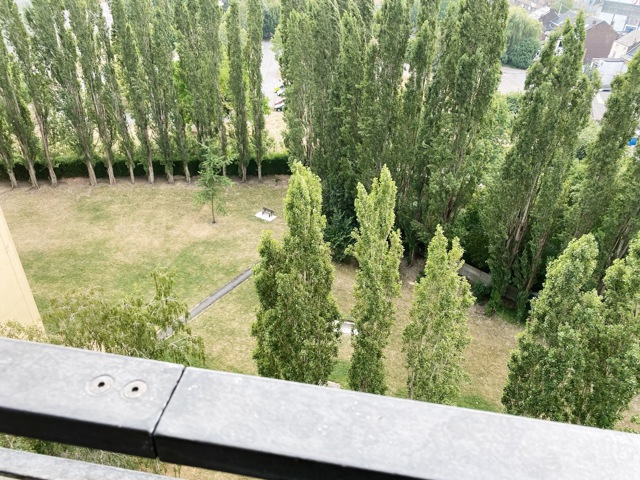 Small 1