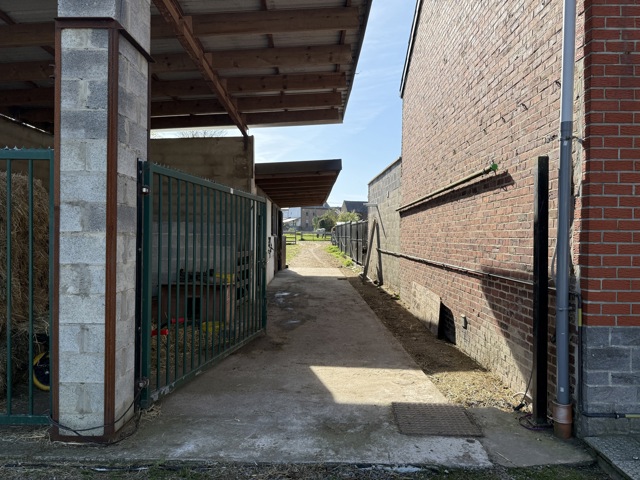 Small 6