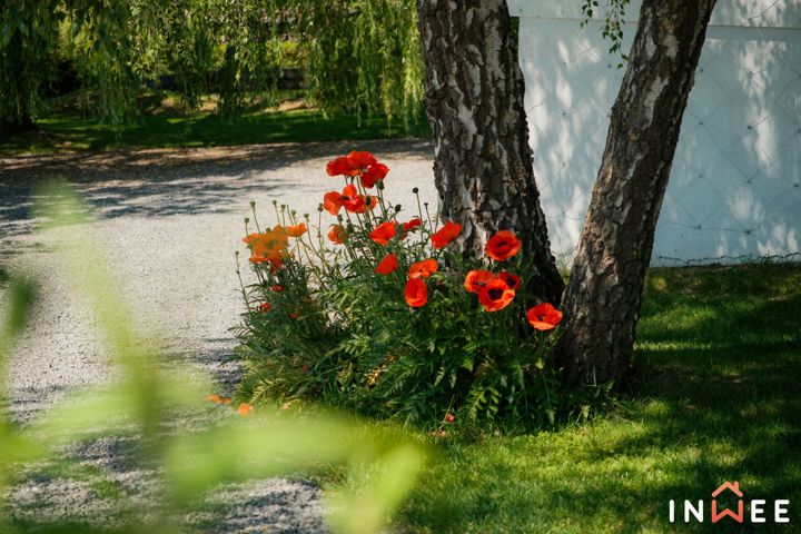 photo du bien