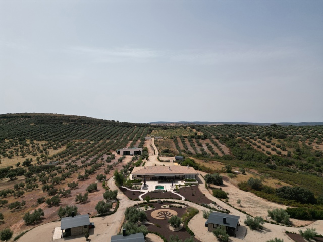 Plaine de jeu - à vendre -  