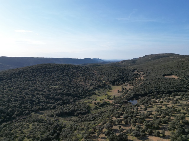 Plaine de jeu - à vendre -  