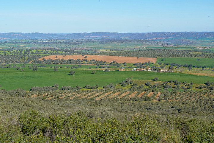 Playing ground - for sale -  