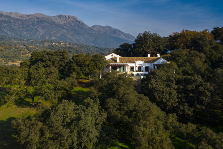 Exceptional house - for sale -  