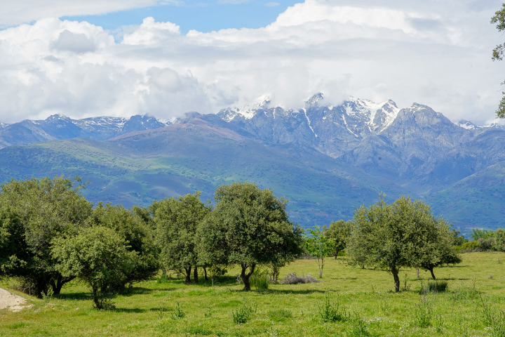 Exceptional house - for sale -  