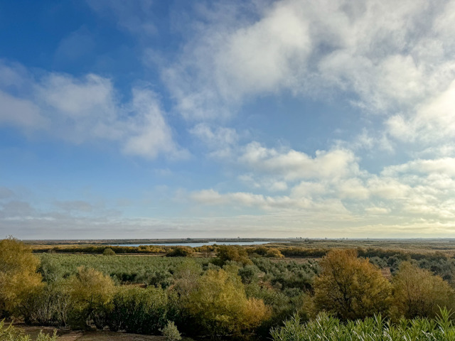 Playing ground - for sale -  