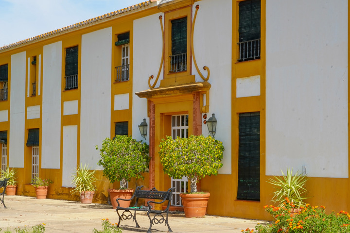 Playing ground - for sale -  