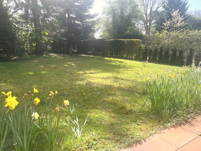 Villa - à vendre - 1180 Uccle