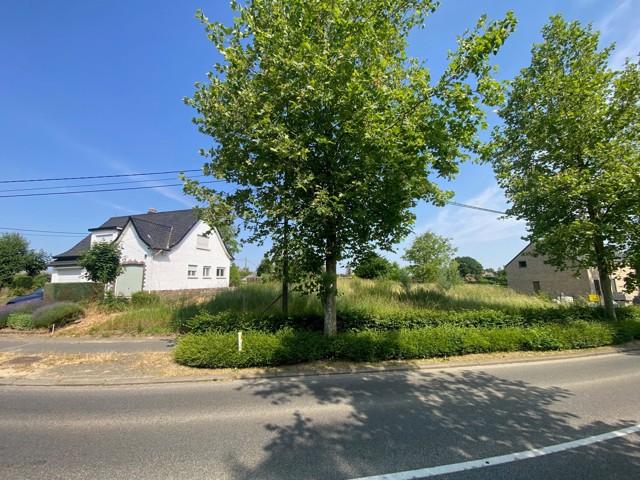 Terrain à bâtir - à vendre - 3090 Overijse