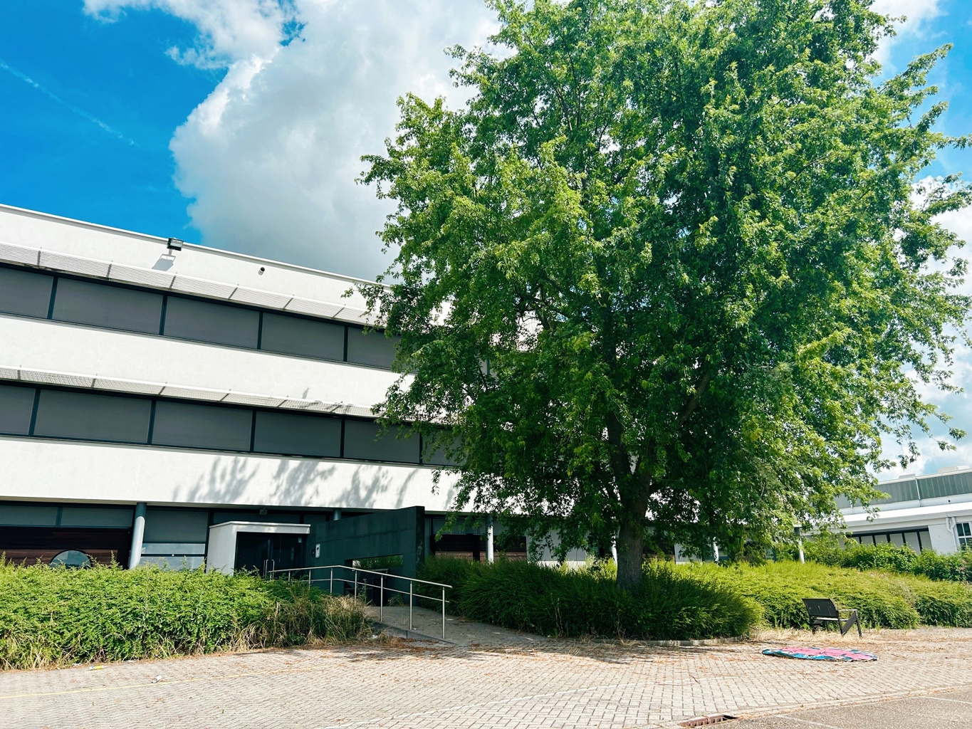 FOR SALE - DILBEEK - OFFICES