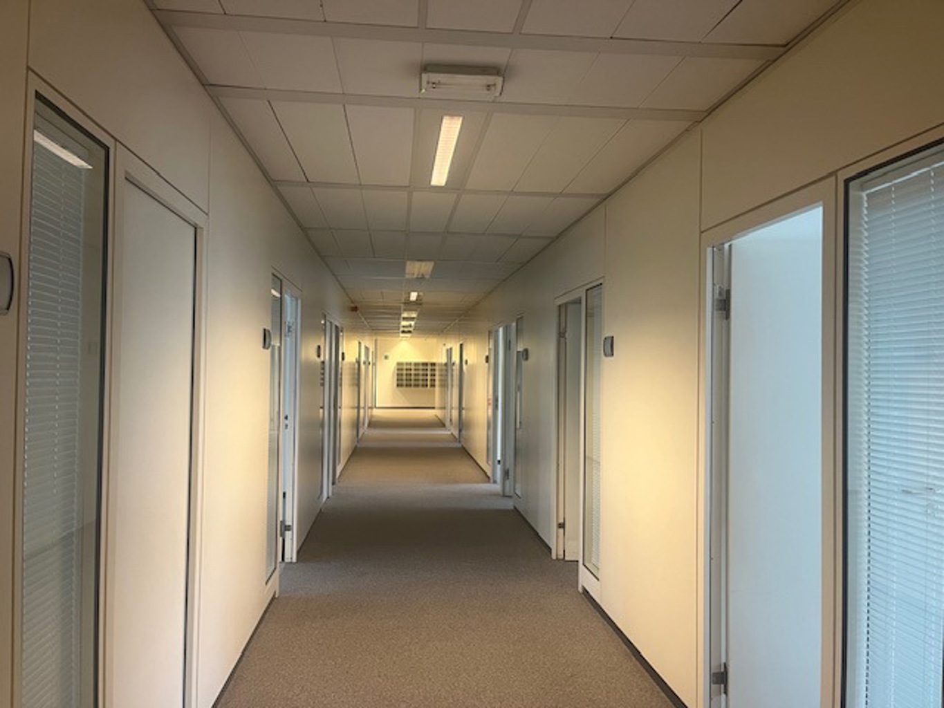 Immeuble de bureaux à louer <br> 1000 - Bruxelles