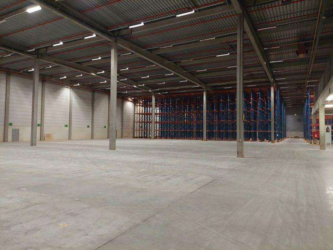 Entrepôt logistique avec bureau à louer à Westerlo