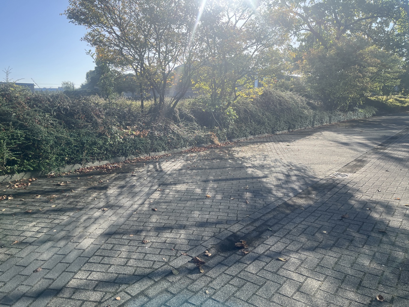 Entrepôt à louer <br> 2630 - Aartselaar