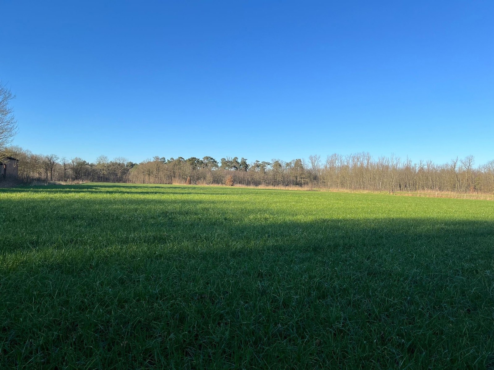 GEEL TEN AARD - Grotekievit z/n (landbouwgrond)