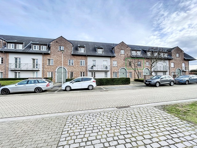 Lindberg 39C bus 13, Oelegem afbeelding 2