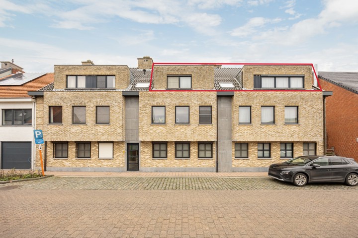 Vosselaar Bolk 141 / B4
