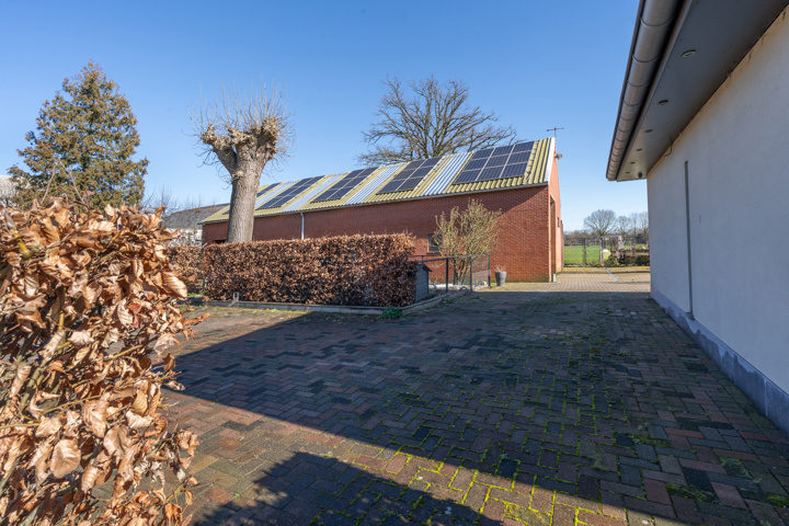 SPIJKER 87 afbeelding 2