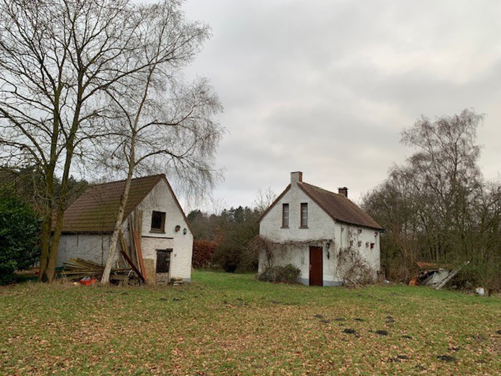 Papdijk41